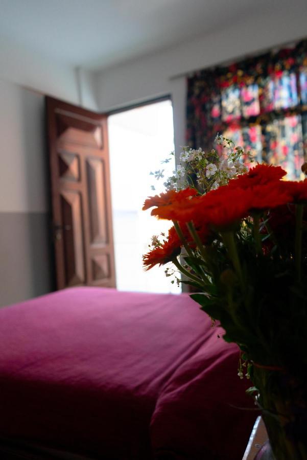 טריחה Hostal Zeballos מראה חיצוני תמונה