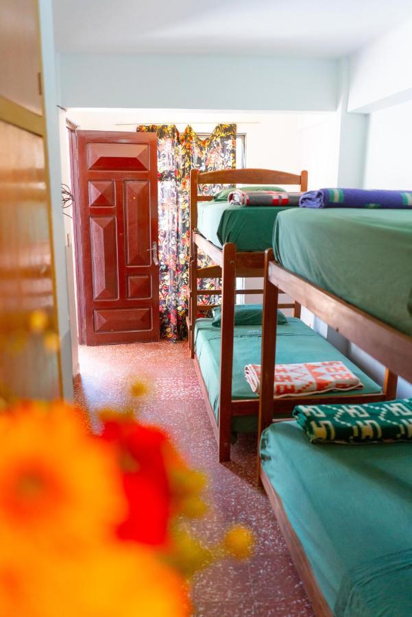 טריחה Hostal Zeballos מראה חיצוני תמונה